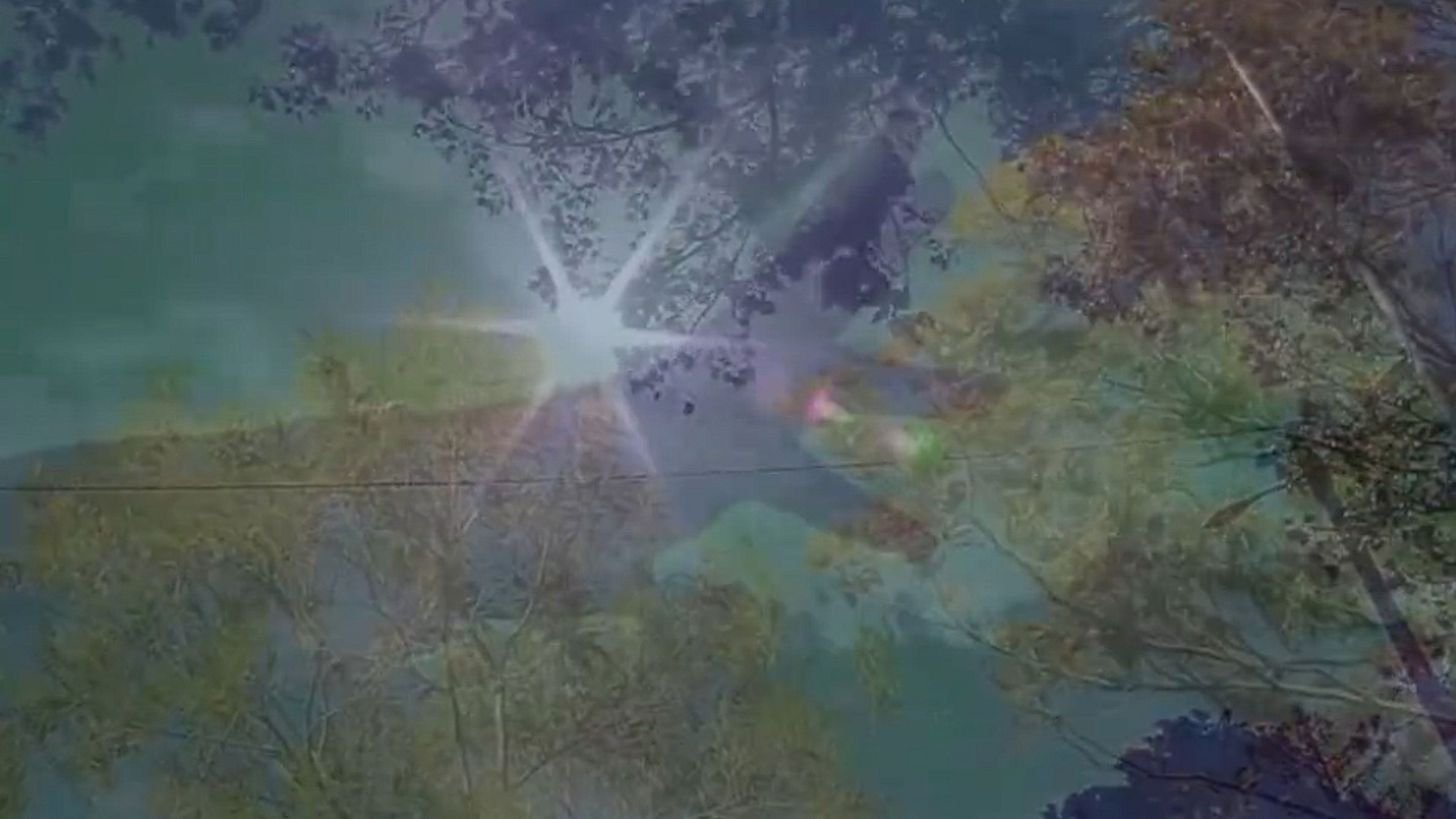 Backdrop for Hunting Confessions