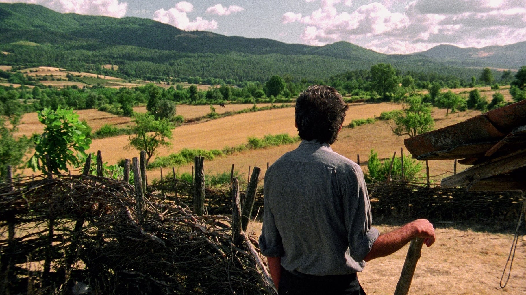 Backdrop for Clouds of May