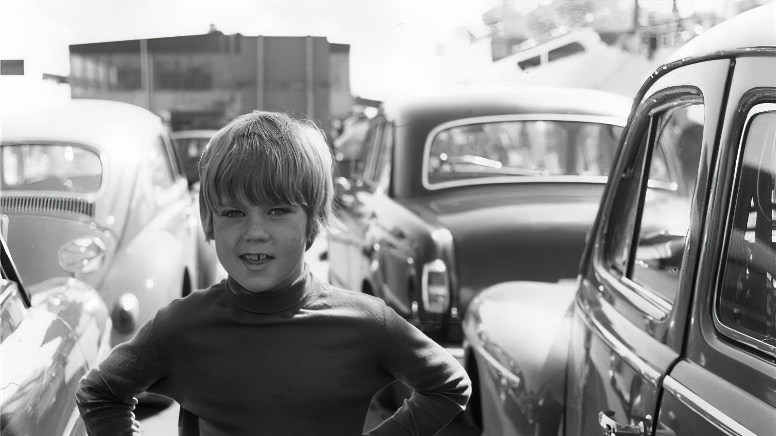 Backdrop for Who The F**K Is Stefan Berg?