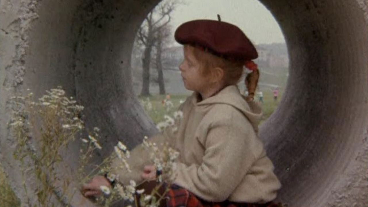 Backdrop for Insane Lori