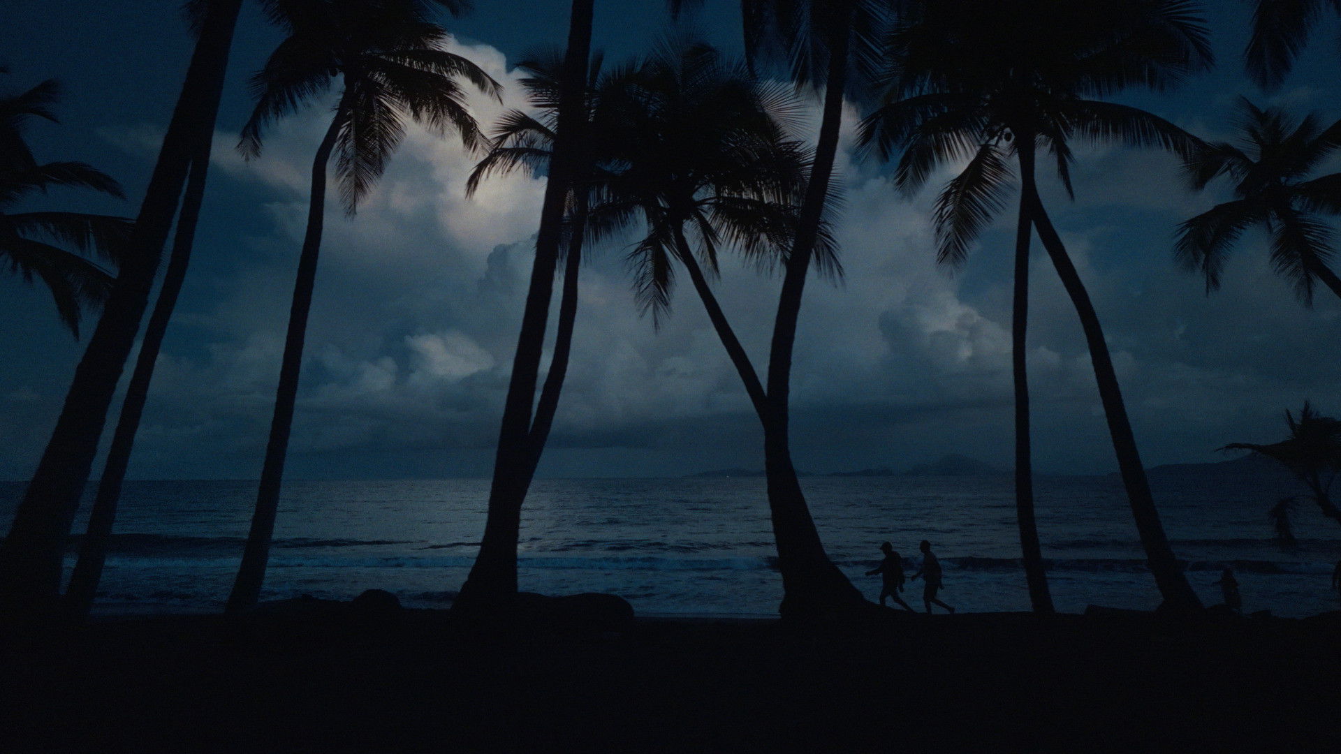 Backdrop for Fòs - Chronicle of Guadeloupean Fencing