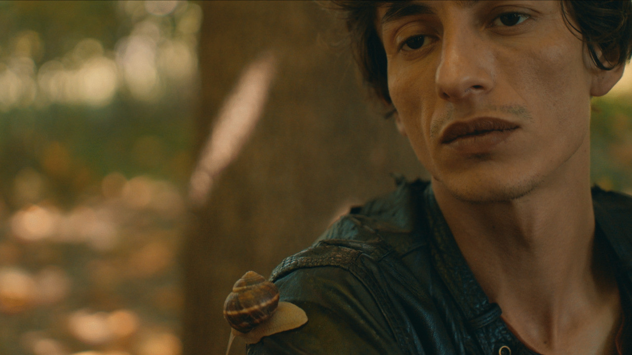 Backdrop for The Snail Room