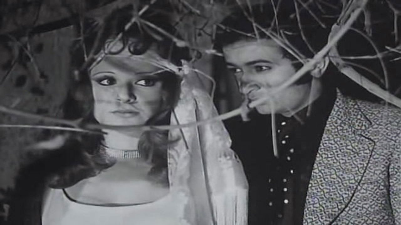 Backdrop for Word of Honour