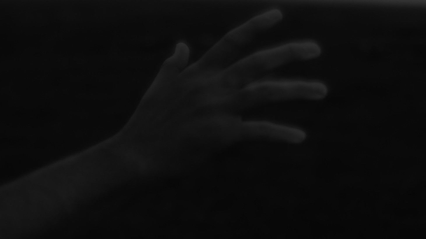 Backdrop for Three Studies of a Nightingale