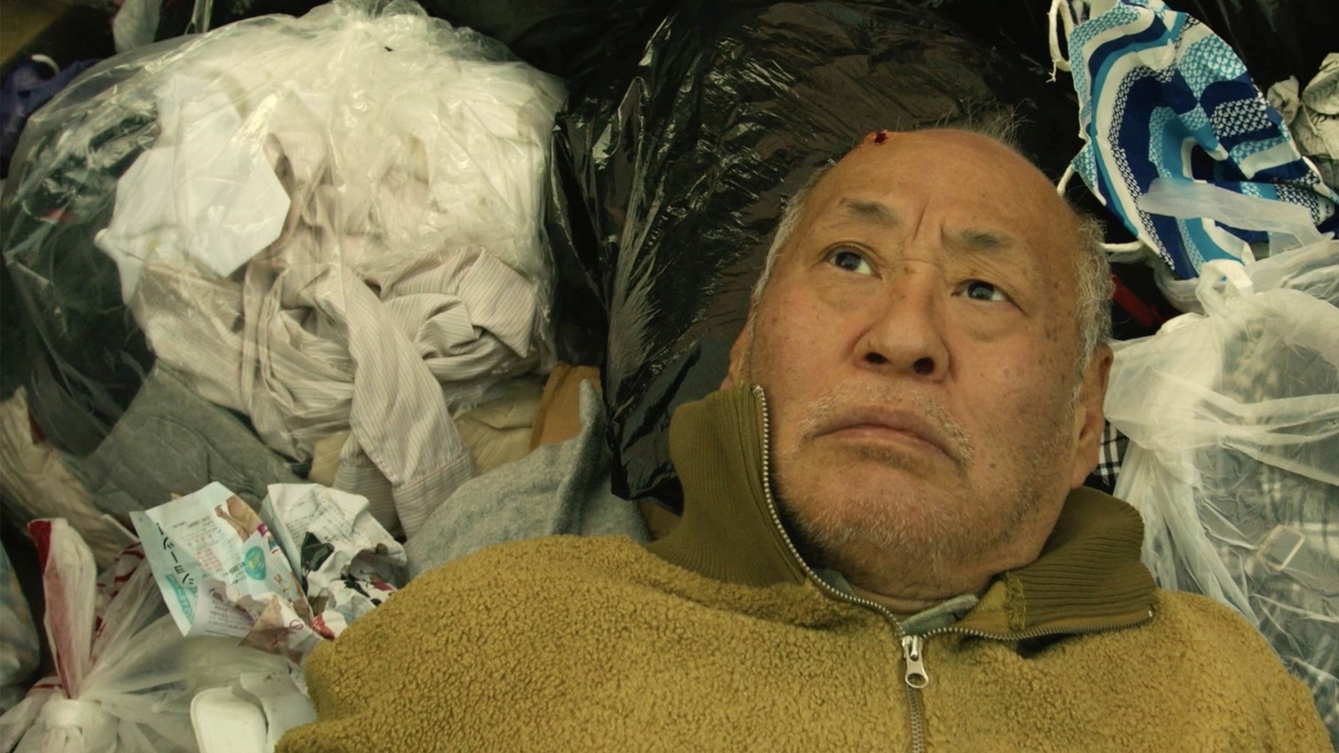 Backdrop for Hoarder on the Border