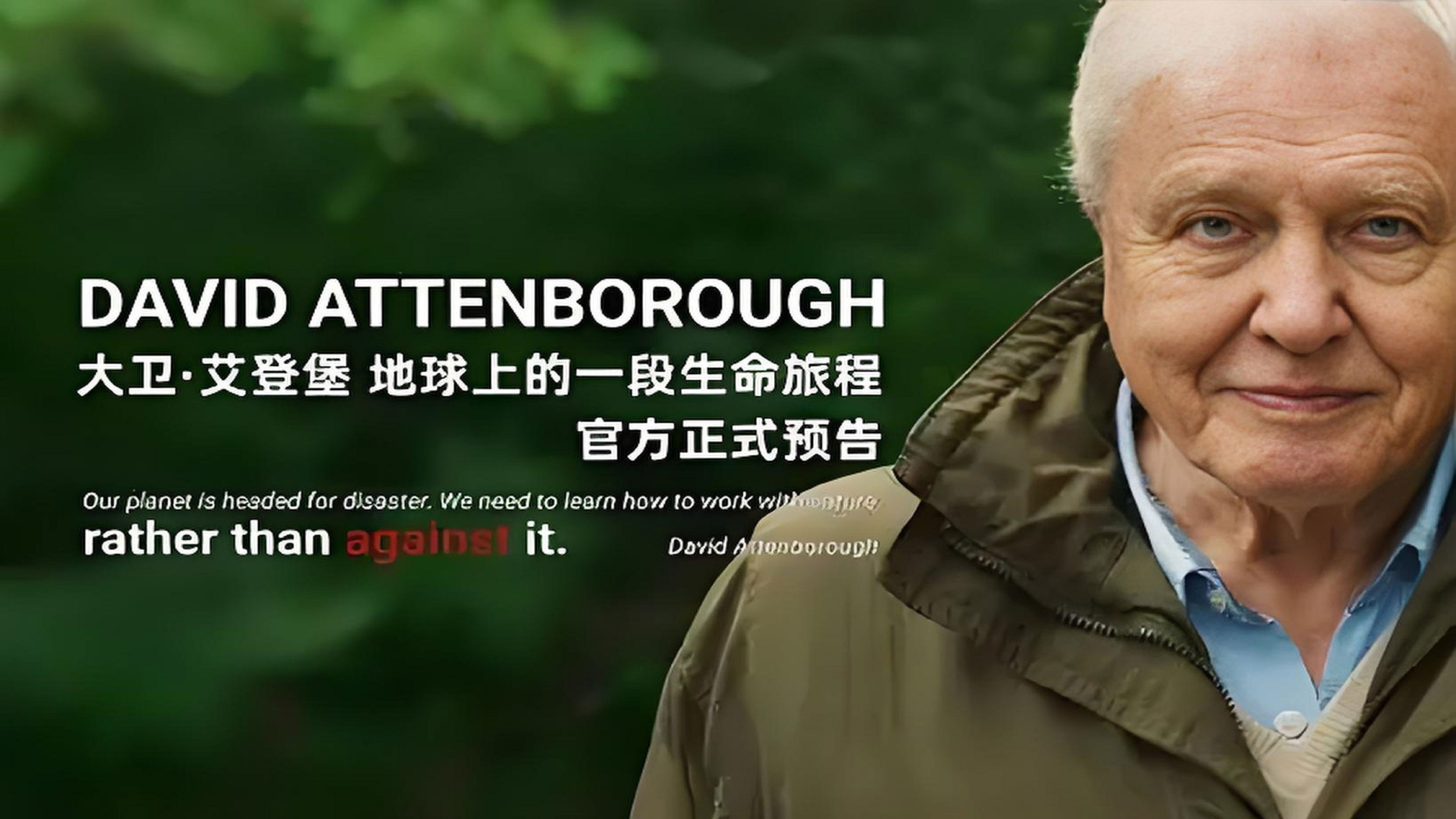 Backdrop for David Attenborough: A Life on Earth