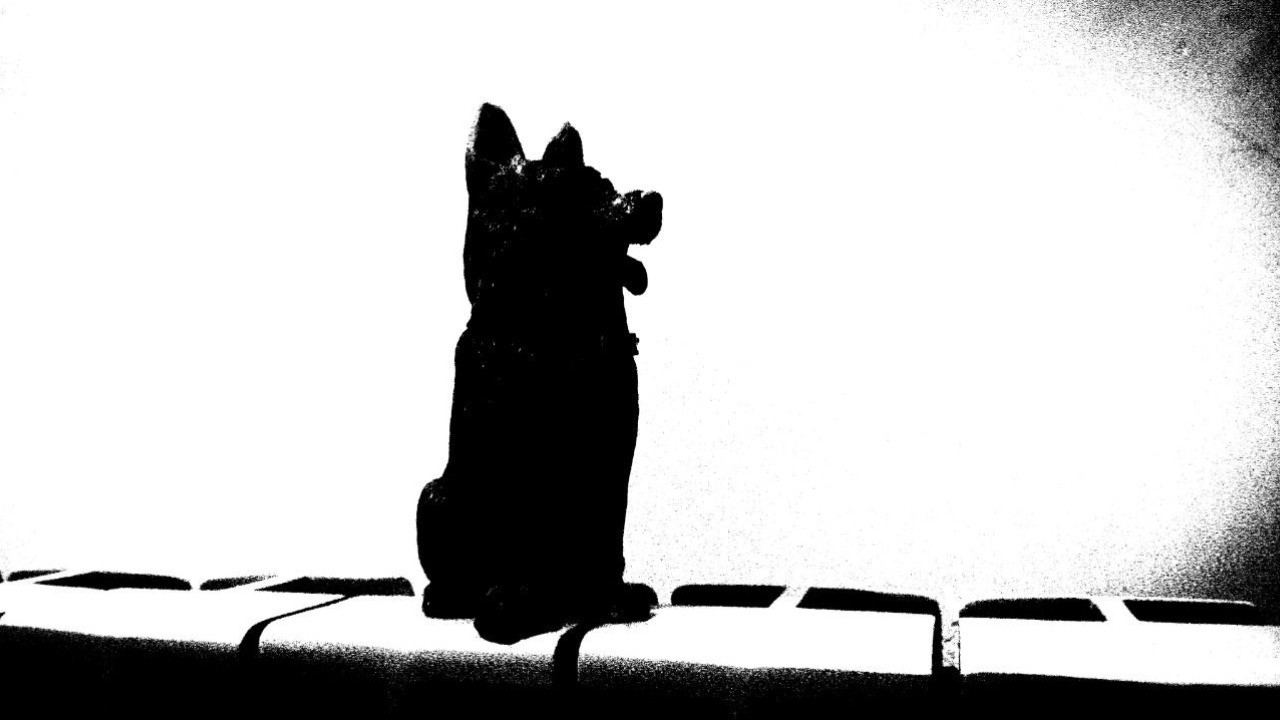 Backdrop for The Dog of Sarandi Alley