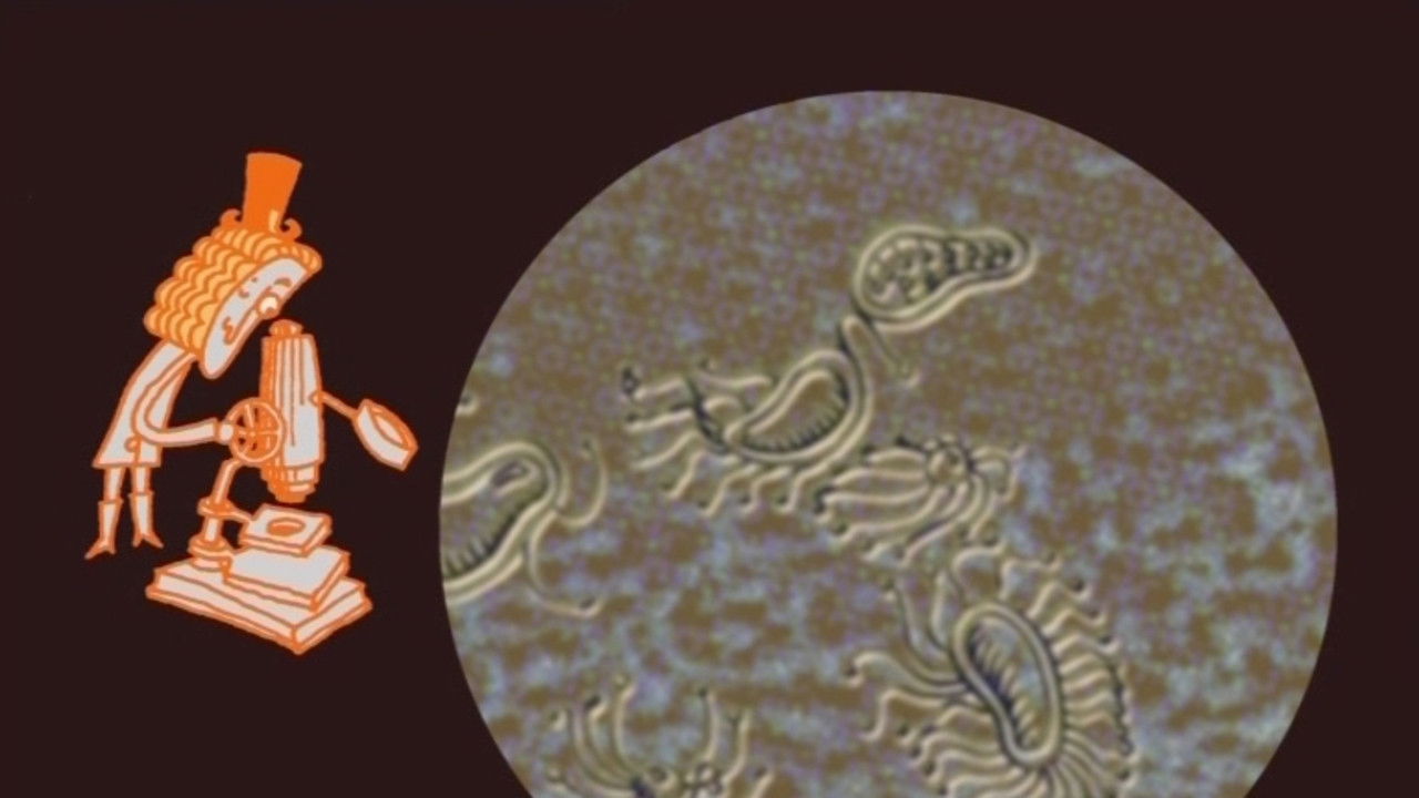 Backdrop for Le petit vélo dans la tête