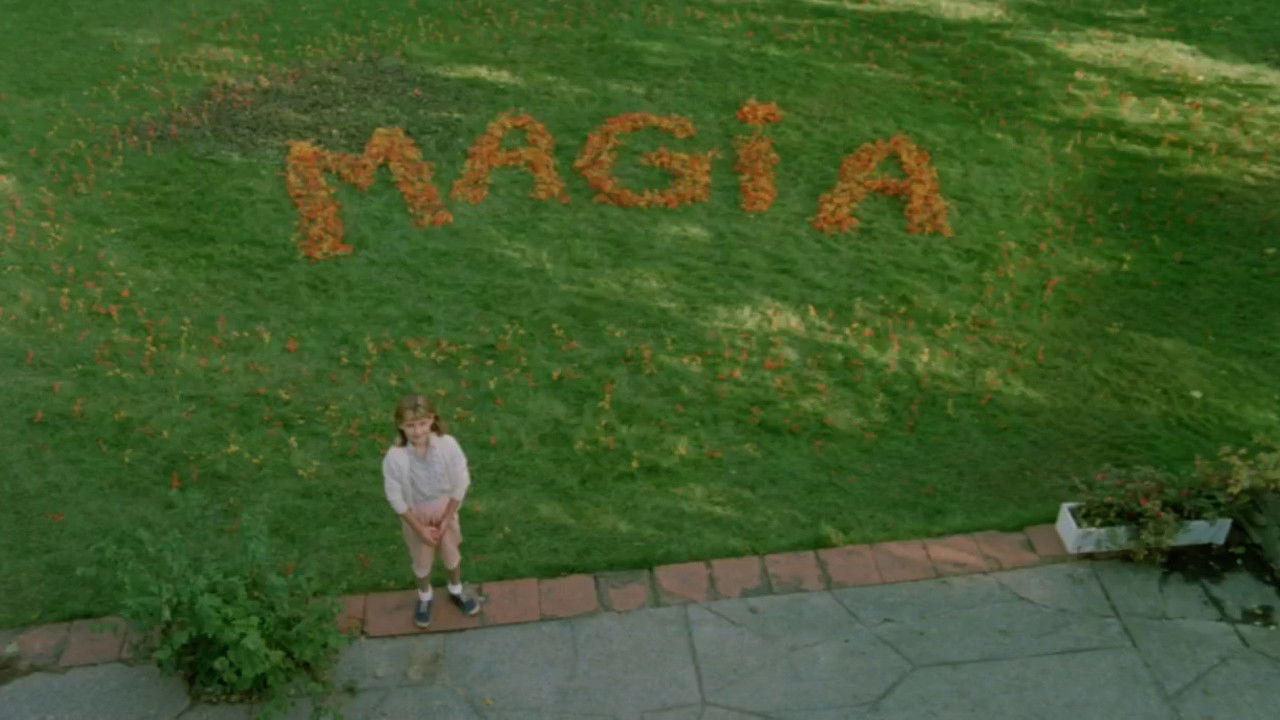 Backdrop for Tinamer