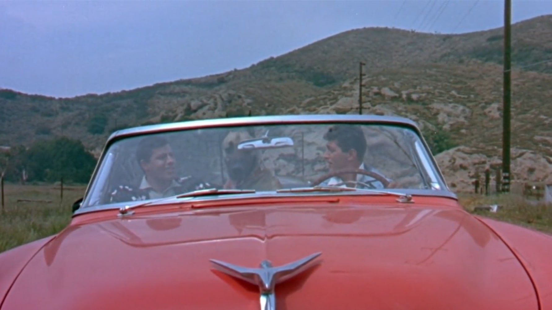 Backdrop for Hollywood or Bust