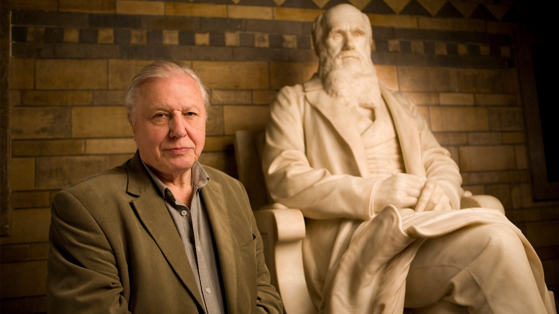 Backdrop for Charles Darwin and the Tree of Life