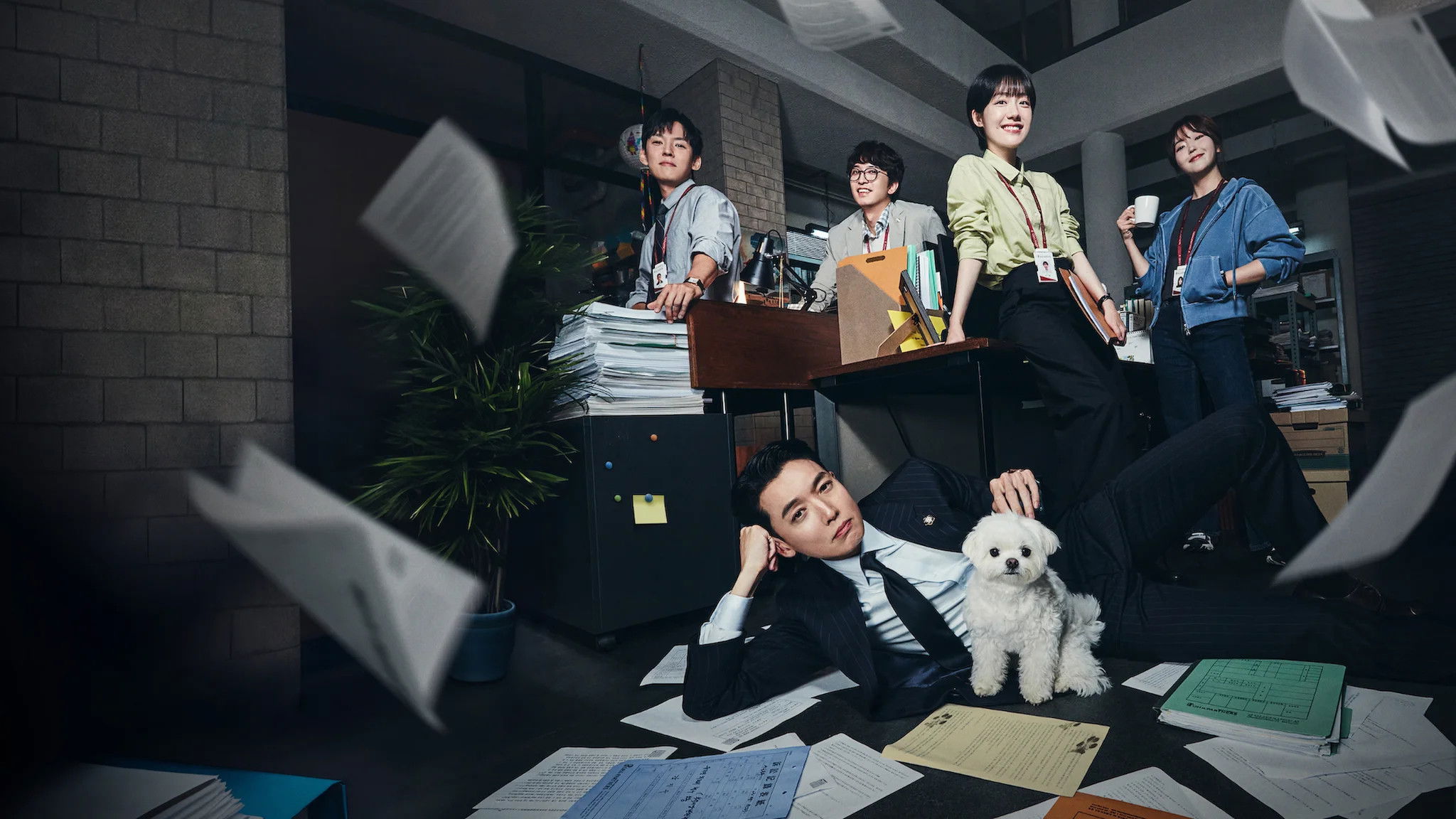 Backdrop for Pro Bono