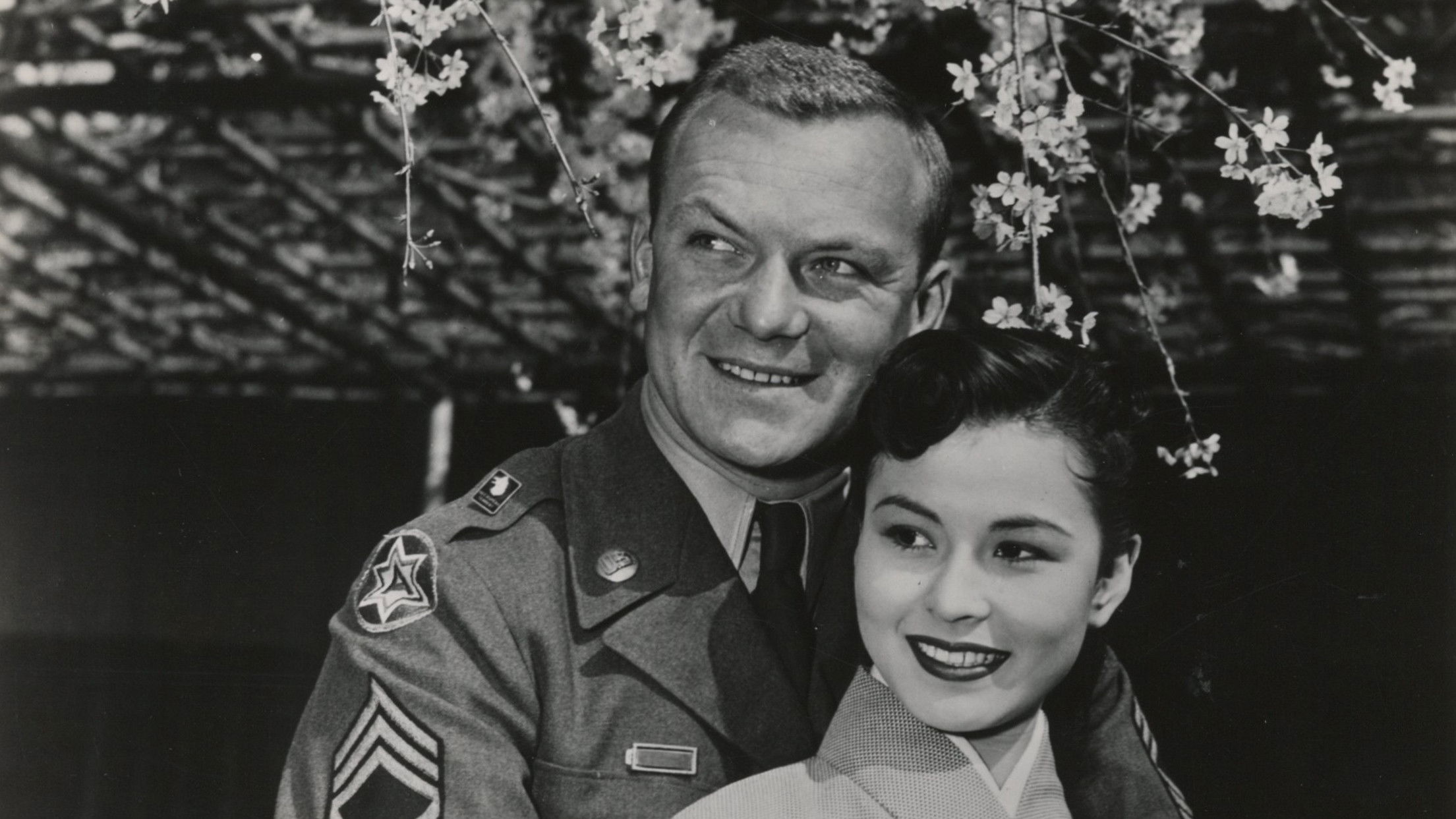 Backdrop for Three Stripes in the Sun