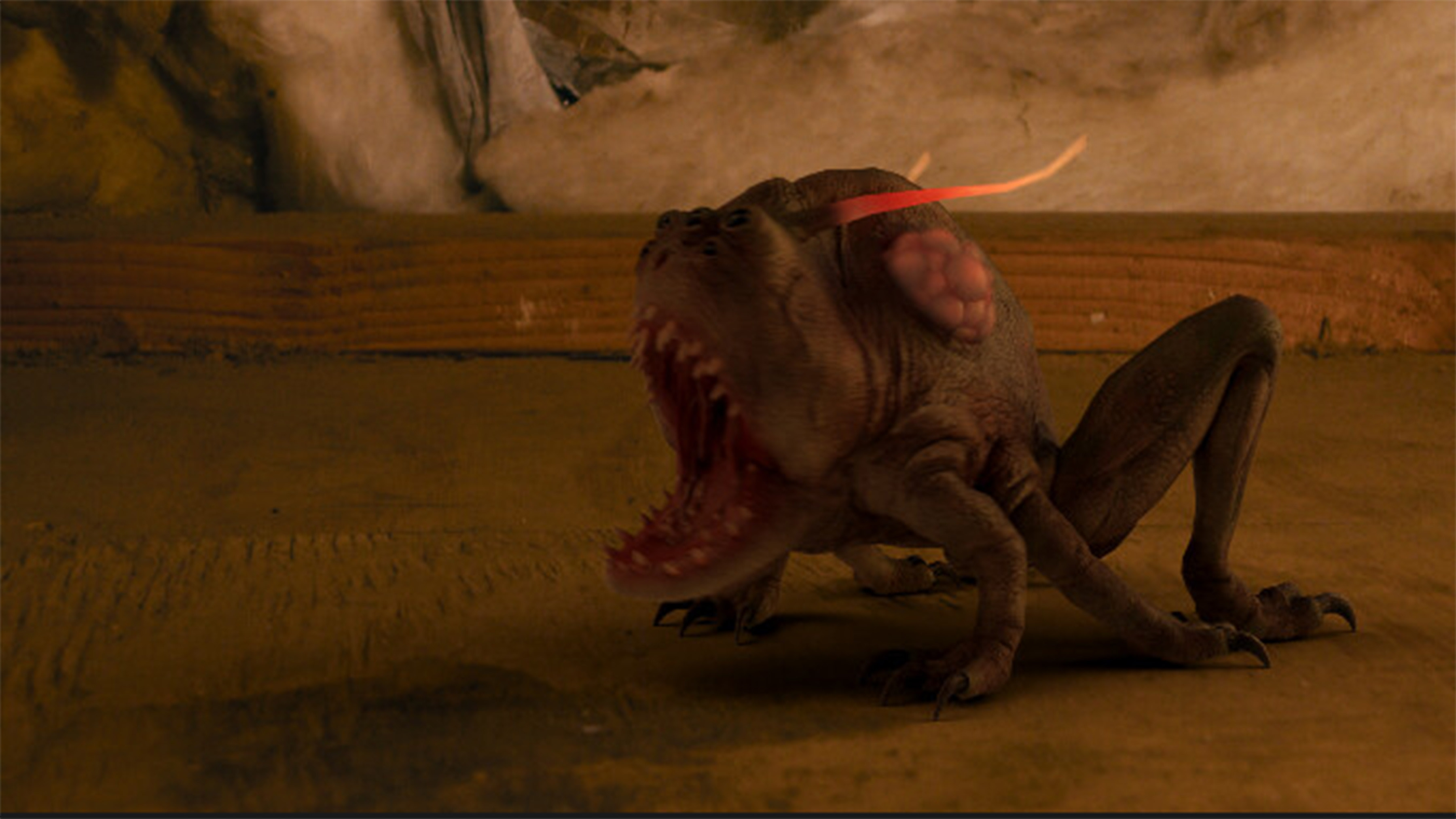 Backdrop for Pest Control