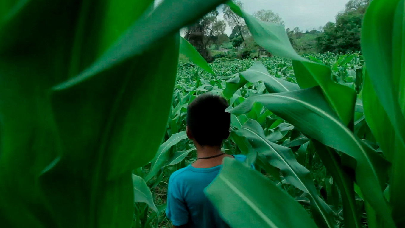 Backdrop for Tecuani, Hombre Jaguar