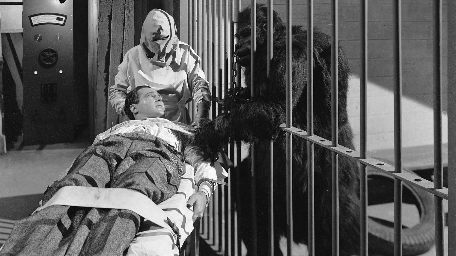 Backdrop for The Strange Case of Doctor Rx