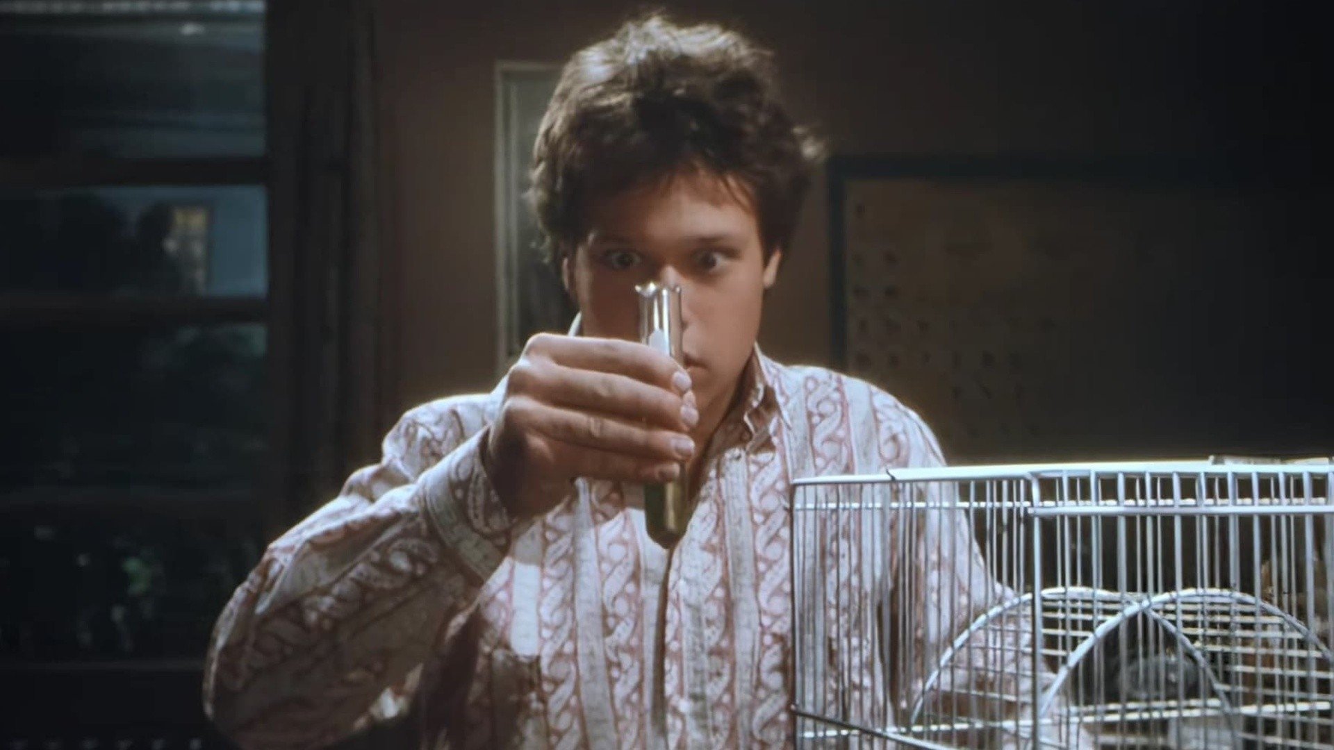 Backdrop for The Invisible Kid