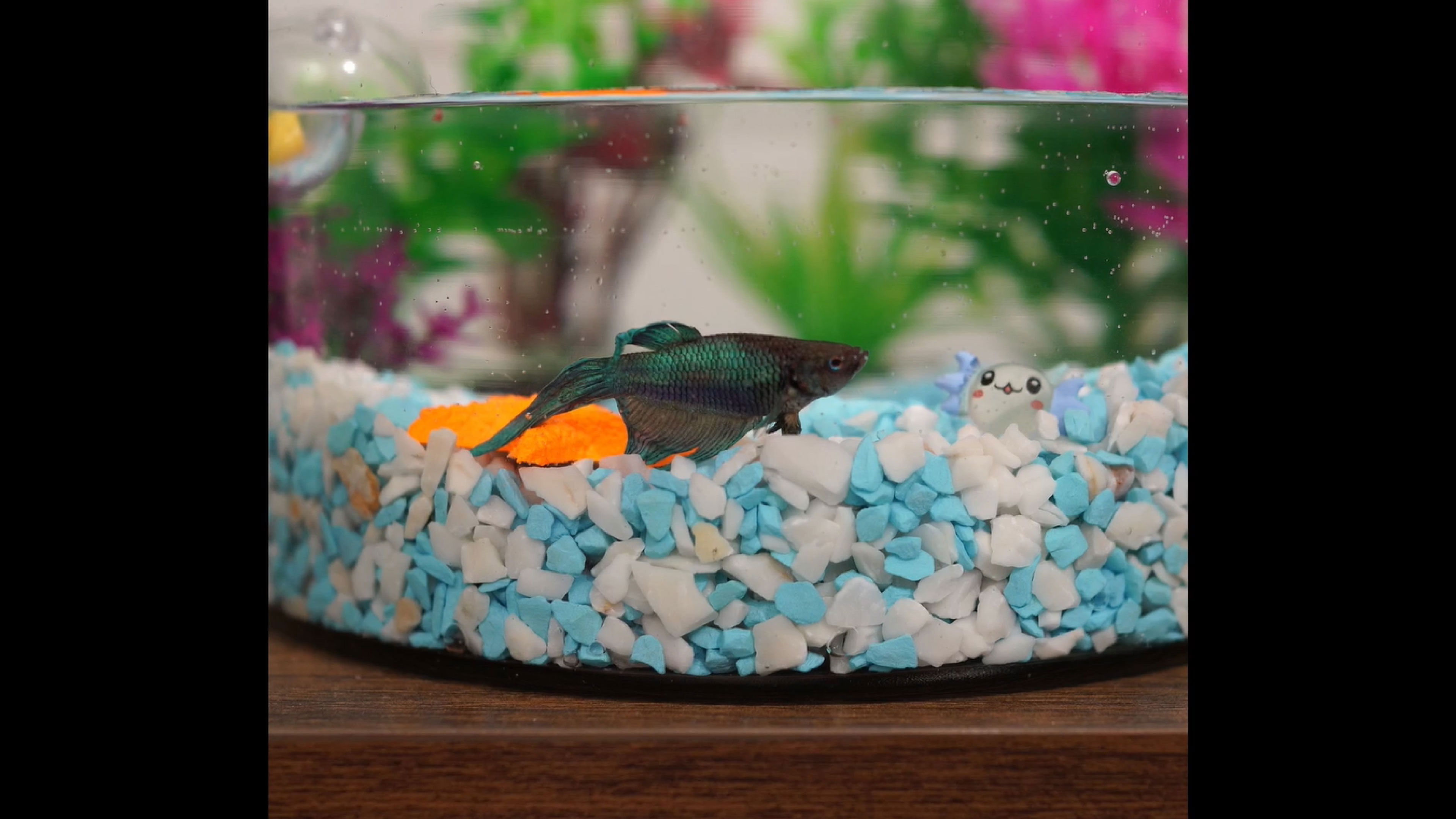 Backdrop for Figura Ornamental Decorativa