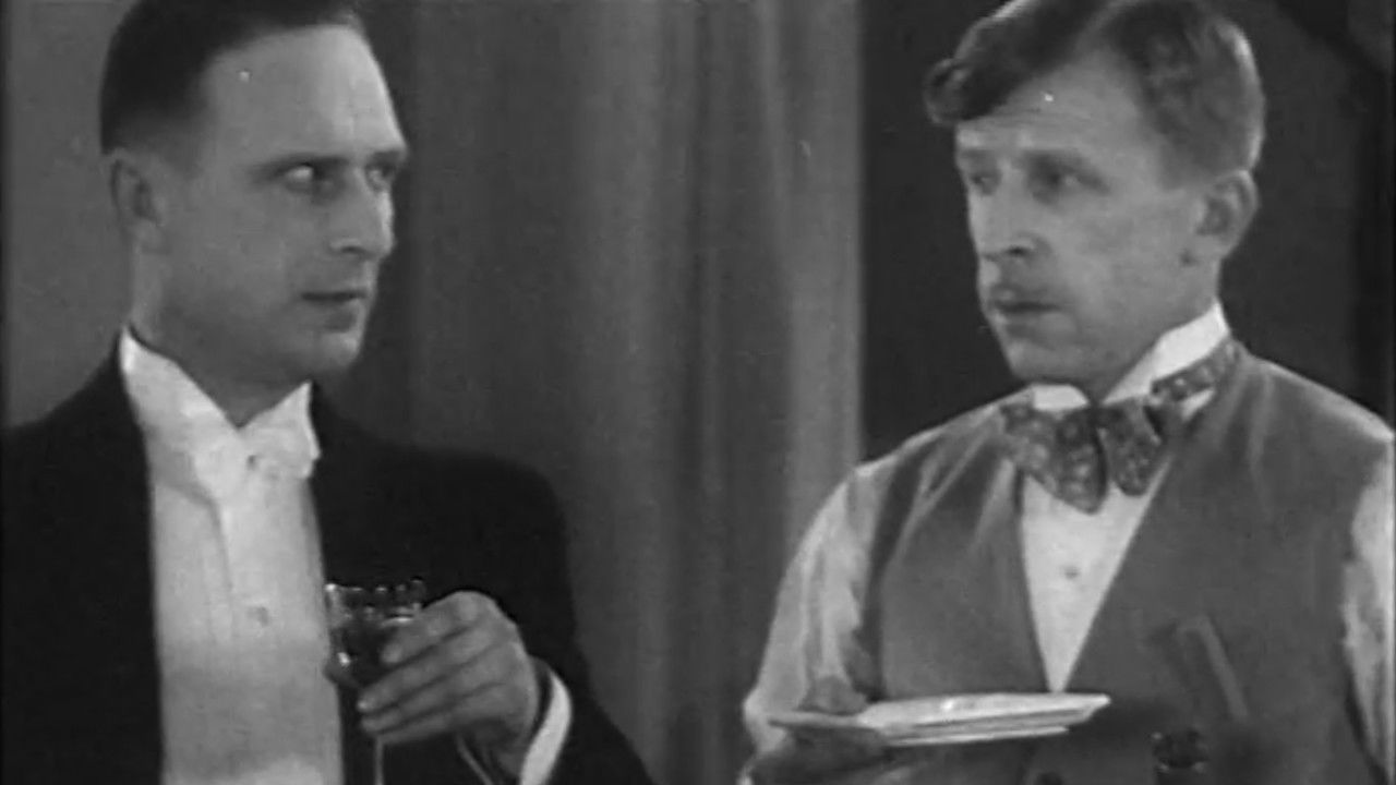 Backdrop for Marionettes