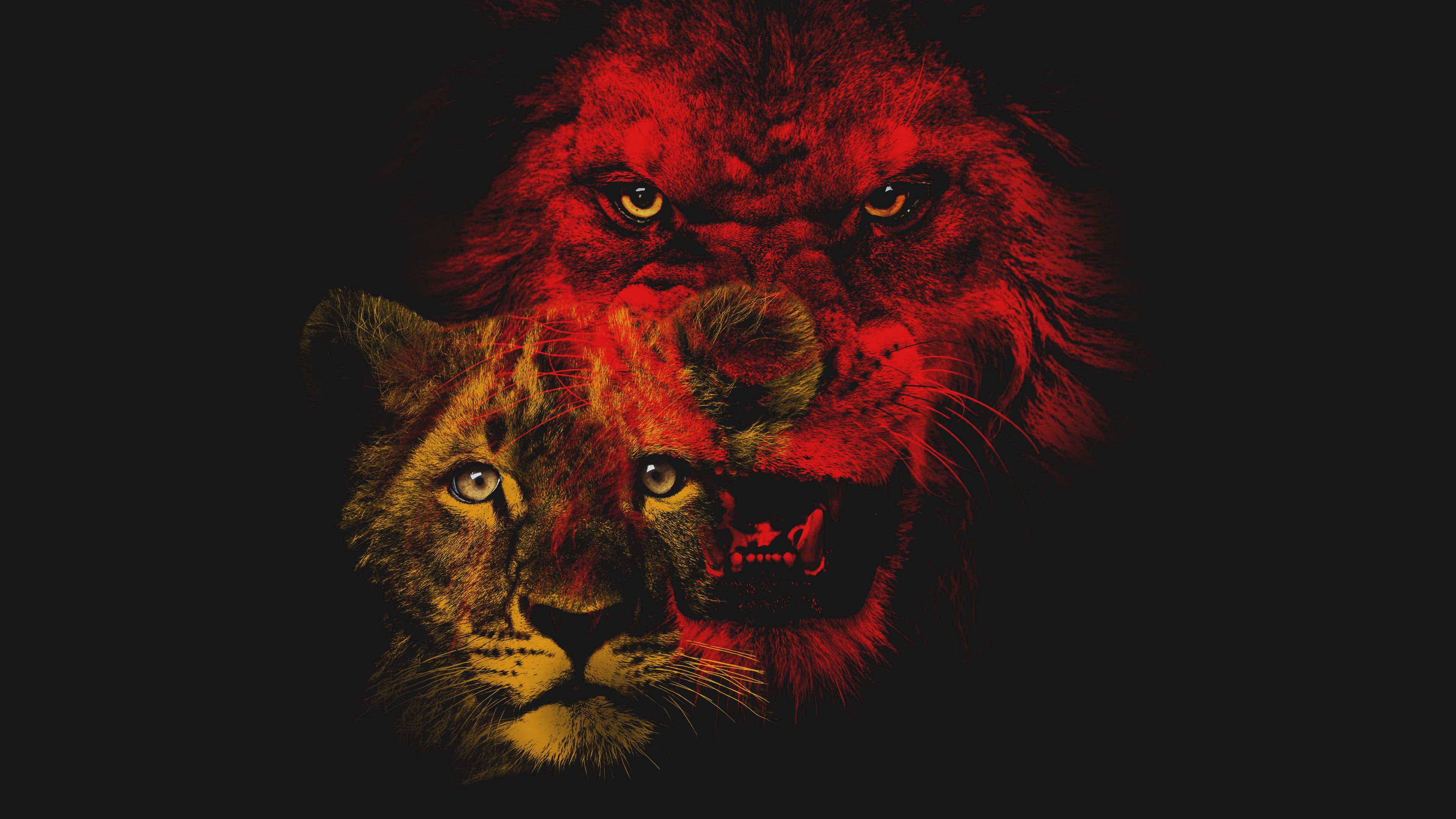 Backdrop for Savage Kingdom