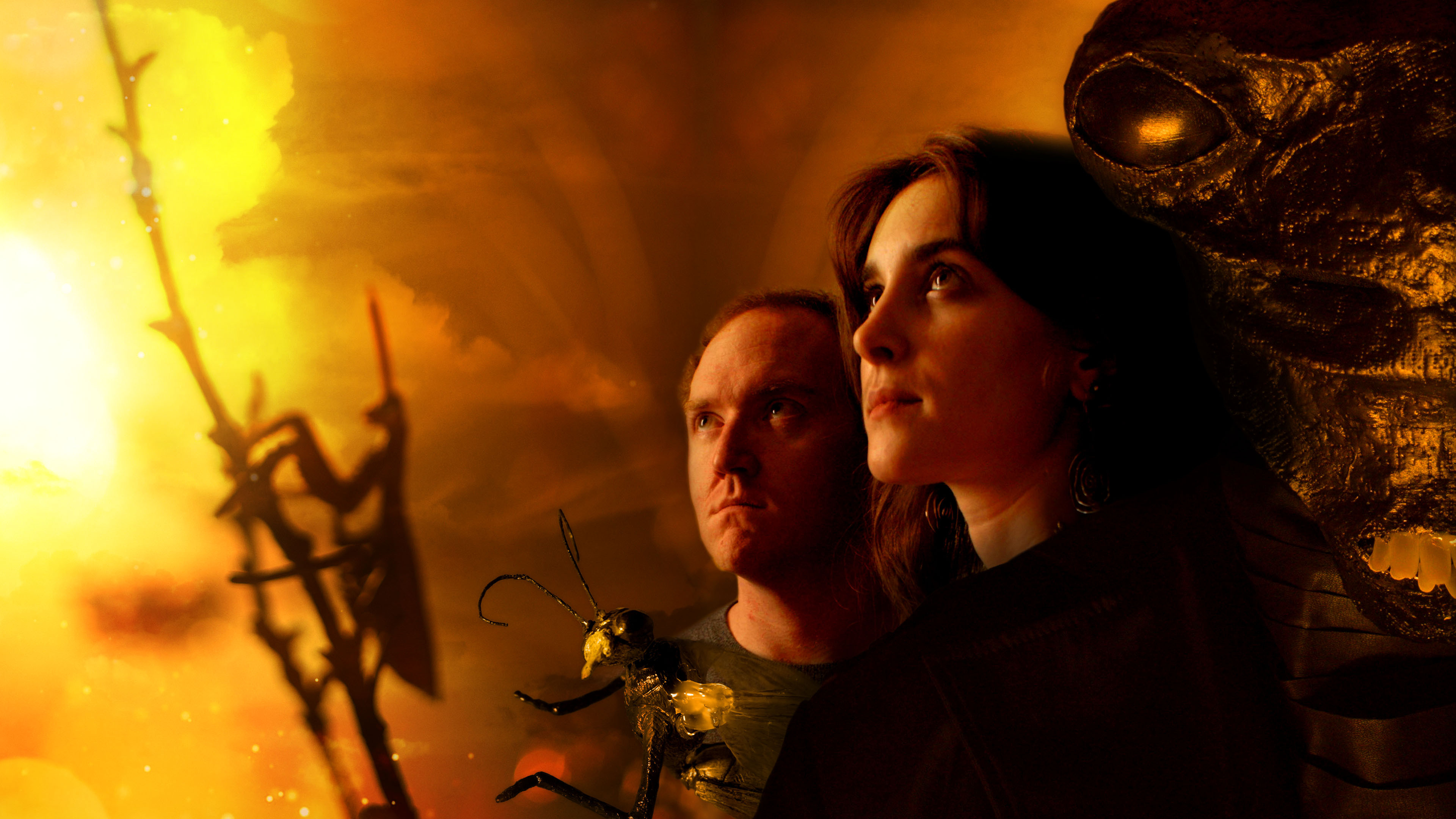 Backdrop for I Dream Of Insects