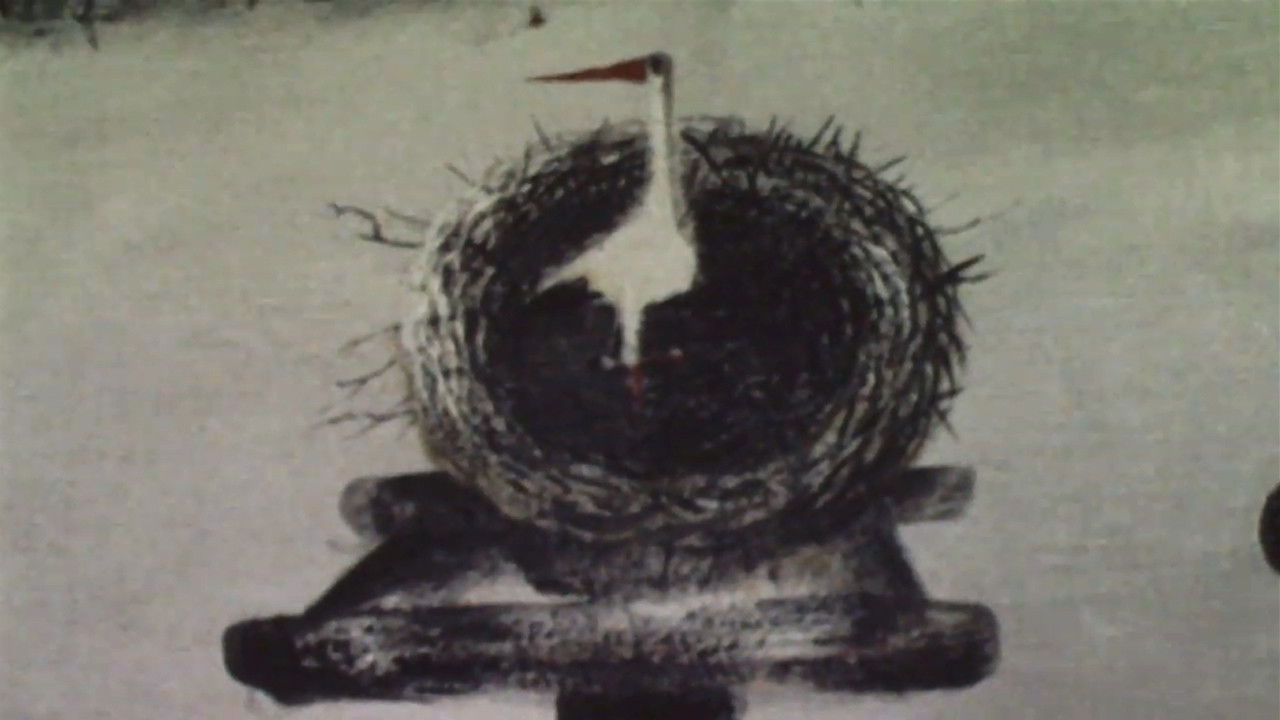 Backdrop for The Flower of the Fern