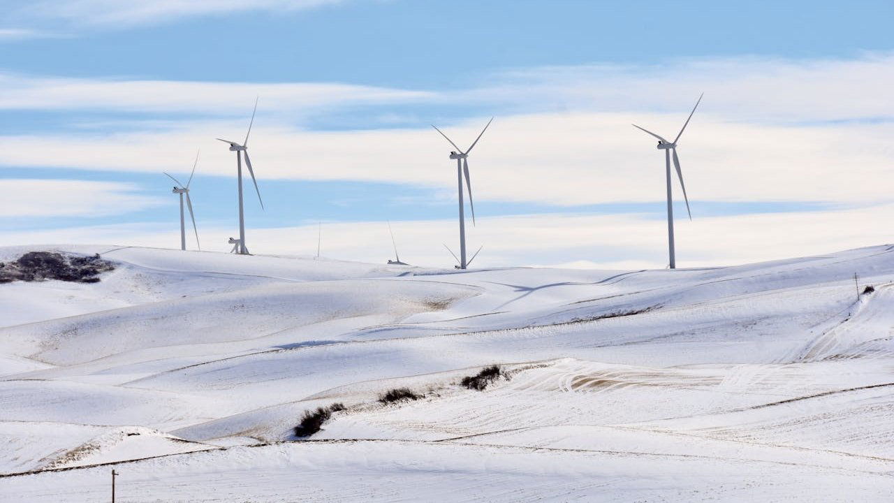 Backdrop for Climate: The Movie (The Cold Truth)