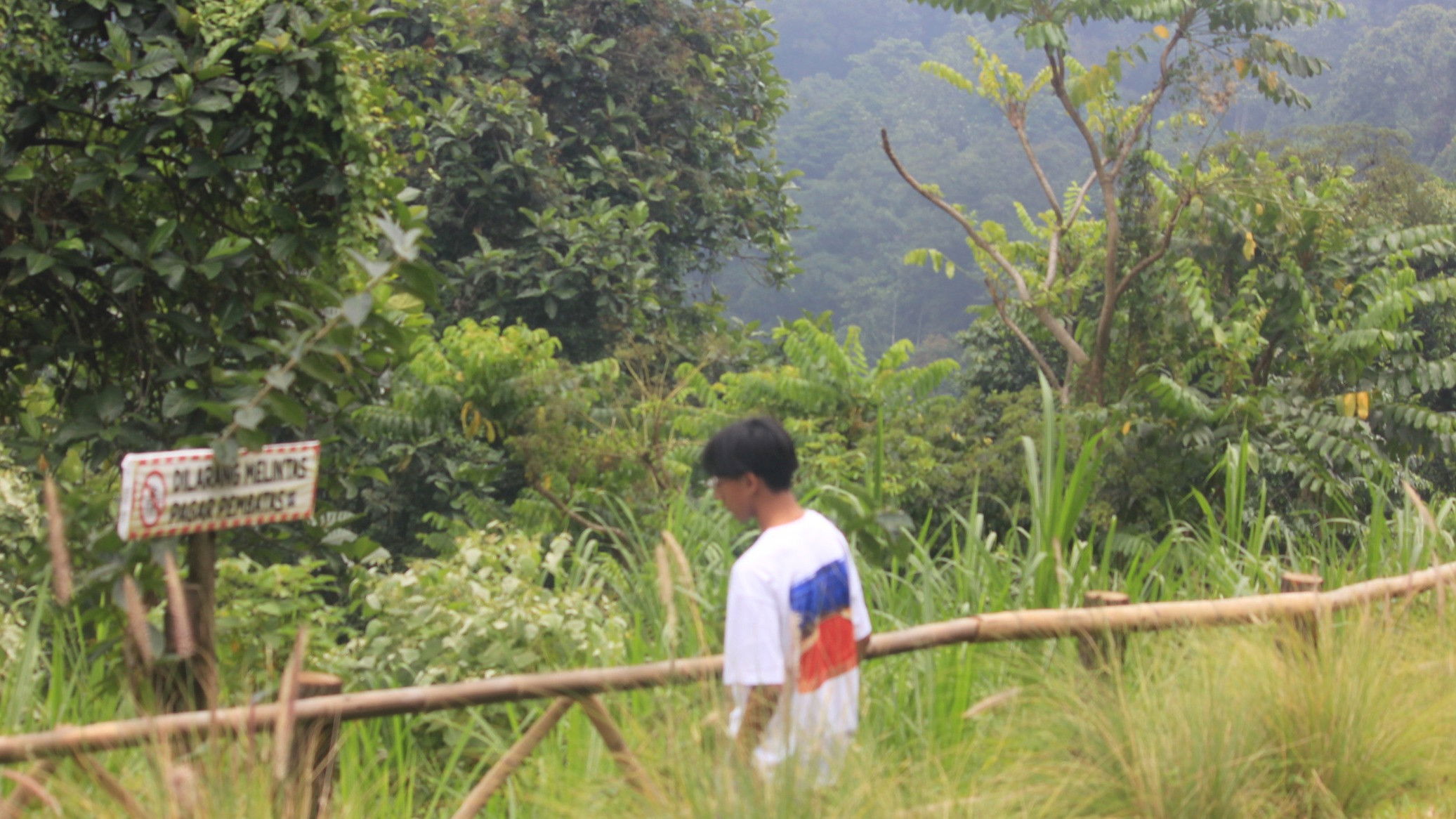 Backdrop for Around Java