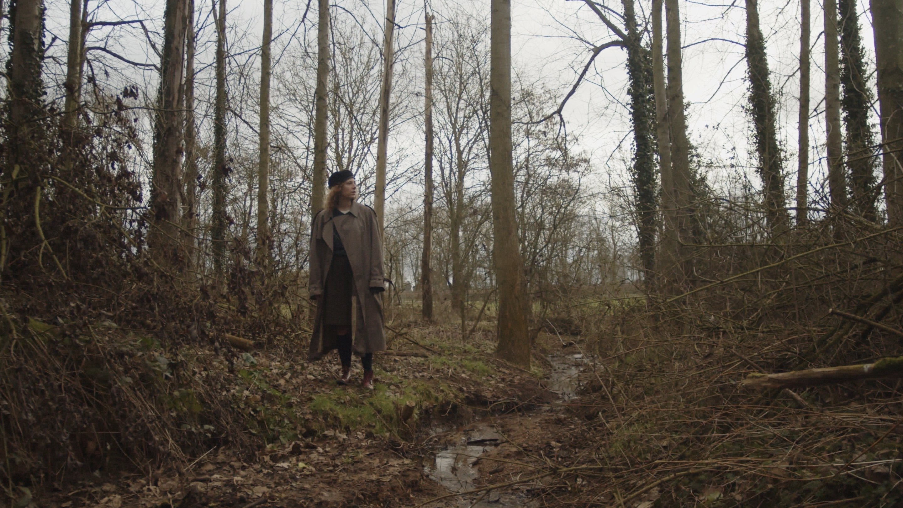 Backdrop for The Freedom of Herds