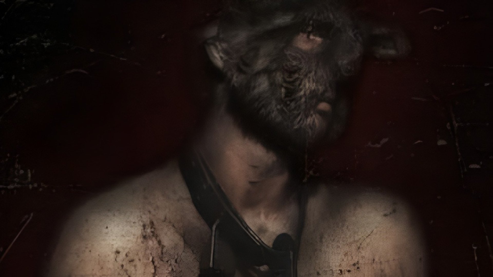 Backdrop for Pitchfork