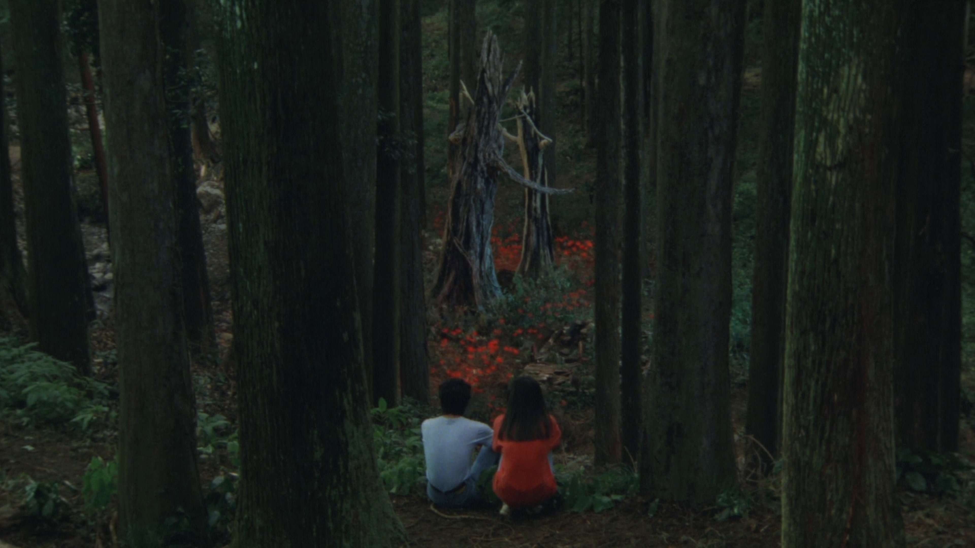 Backdrop for Rhapsody in August