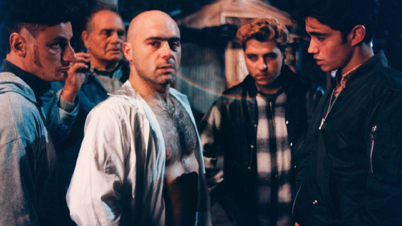 Backdrop for The Pack