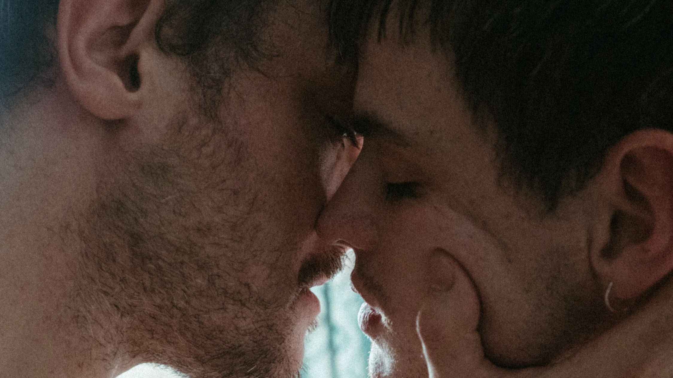 Backdrop for Purebred