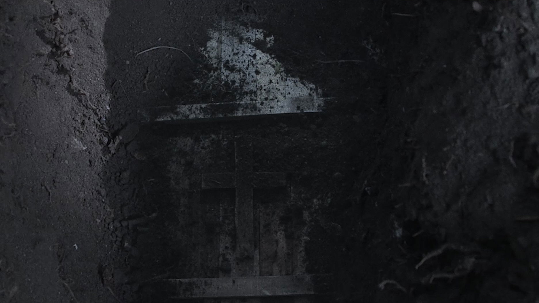 Backdrop for The Curse of Lady Lazarus