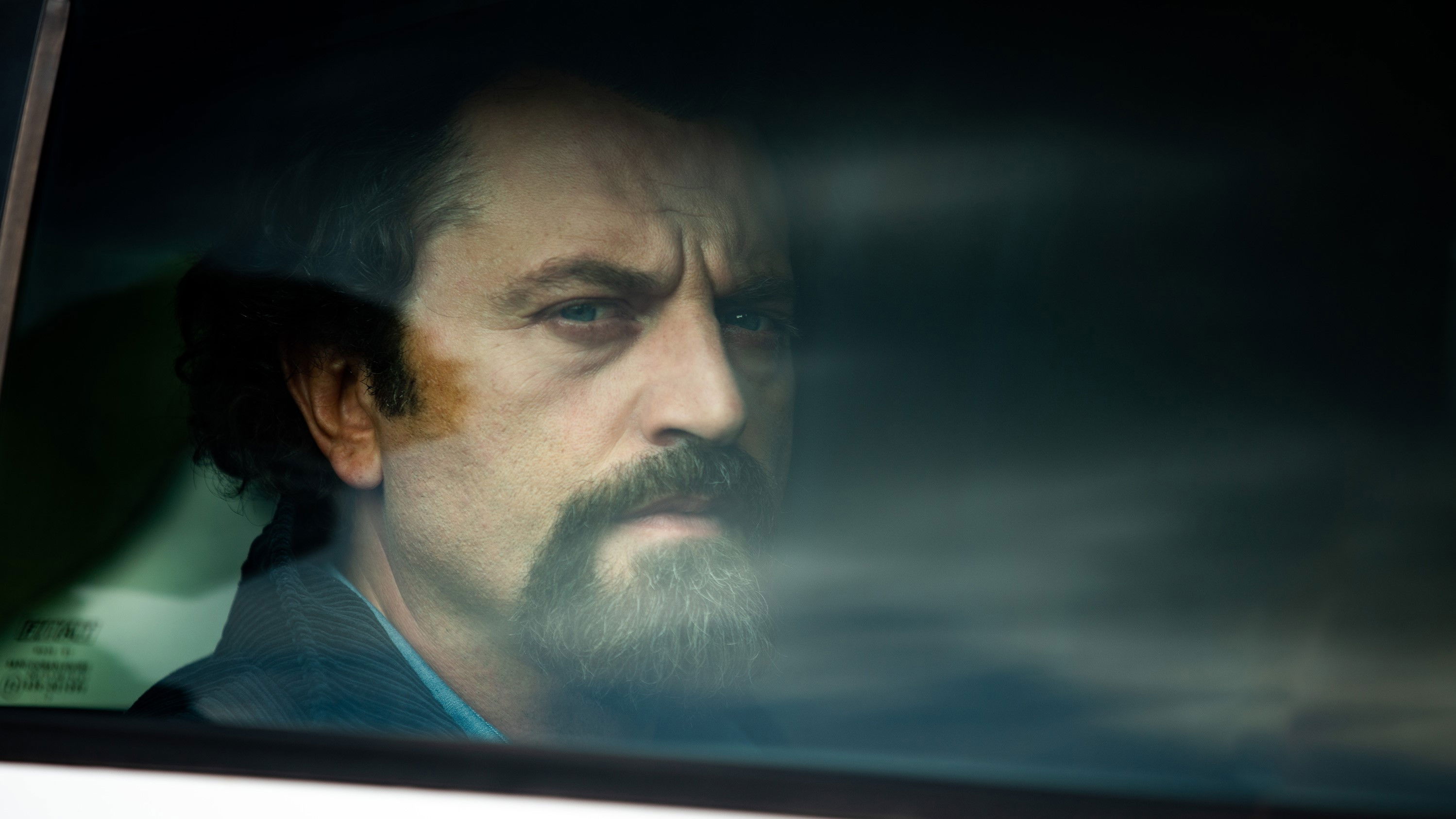 Backdrop for Not for All the World