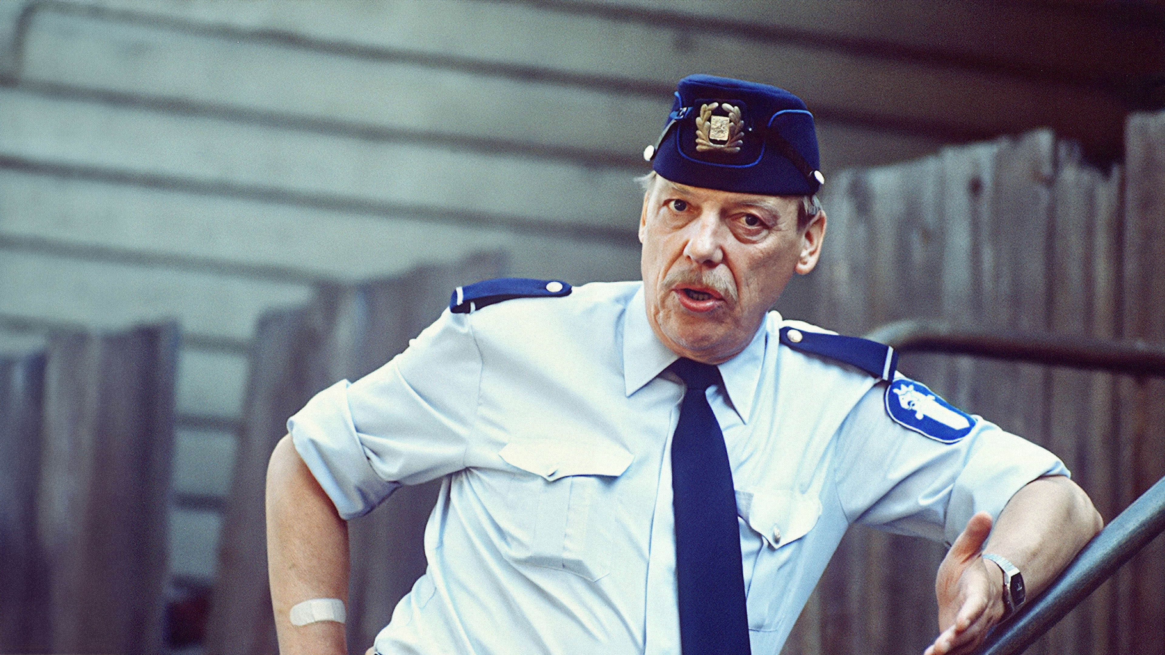 Backdrop for Reinikainen