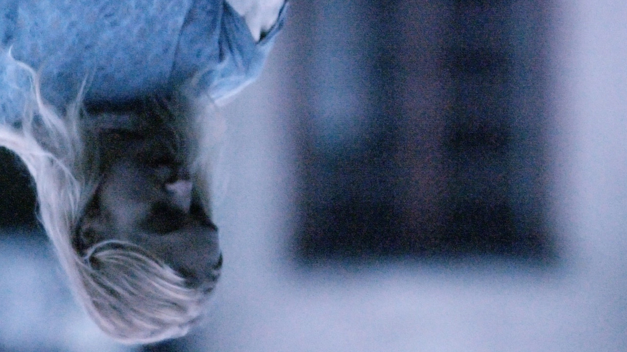 Backdrop for A Tale Best Forgotten