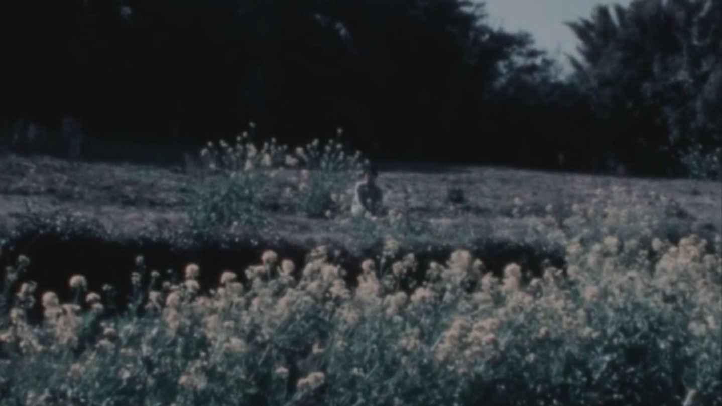 Backdrop for Open Eyes