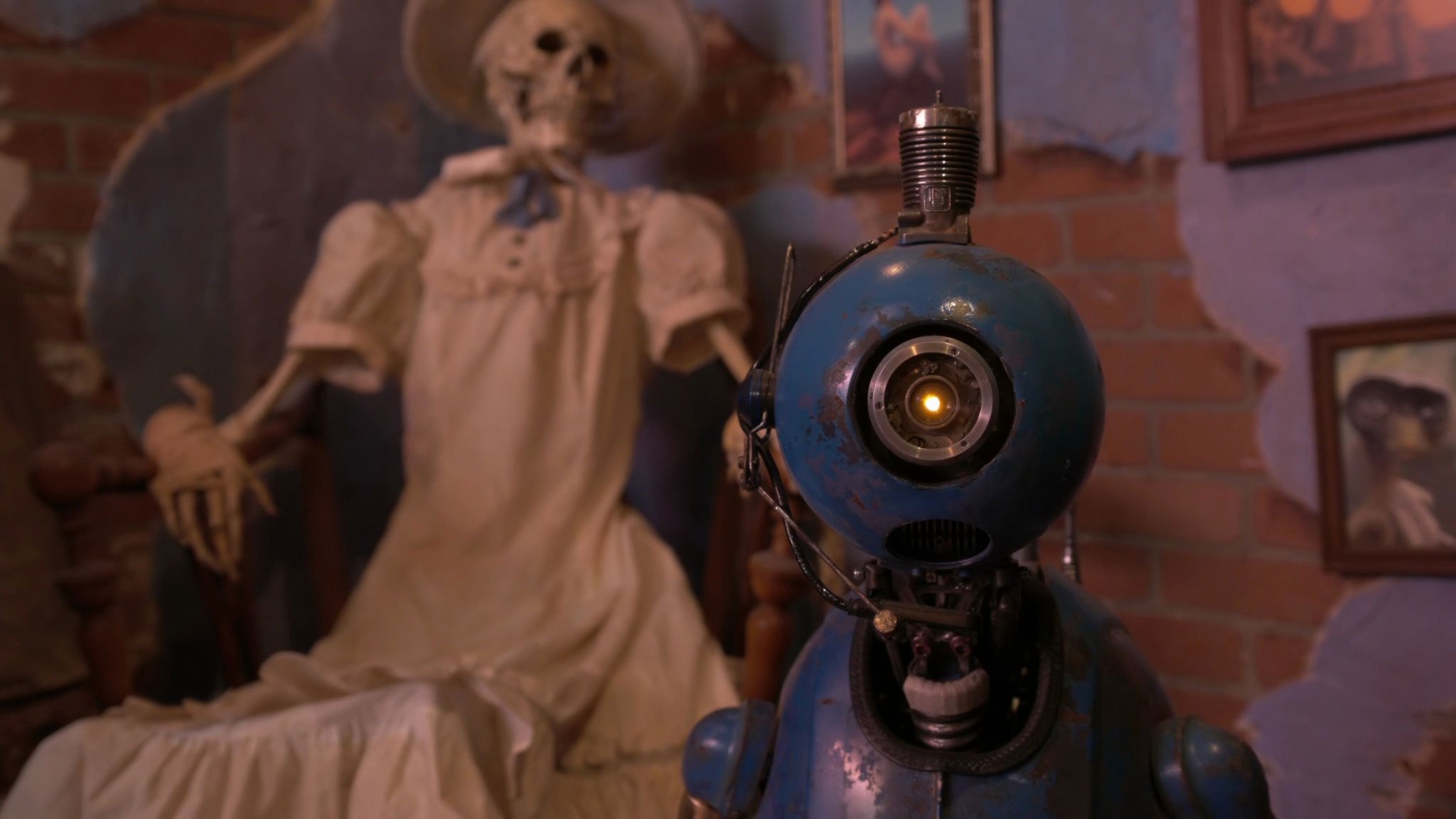 Backdrop for Daisy Belle