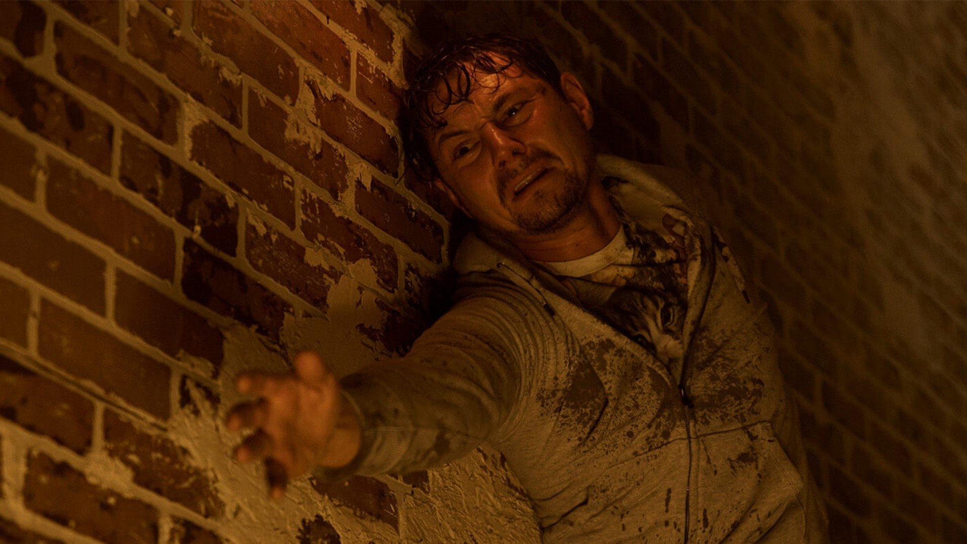 Backdrop for Dear David