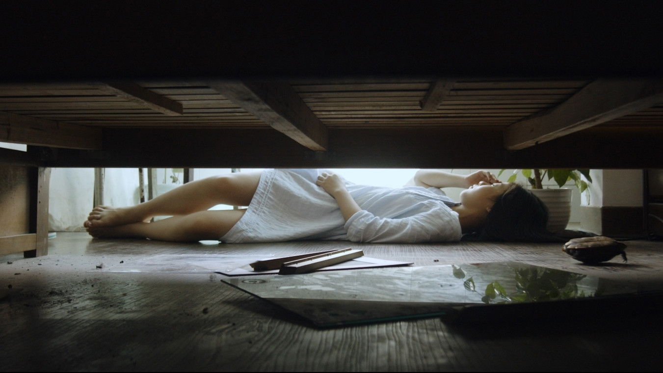 Backdrop for Vanishing Days