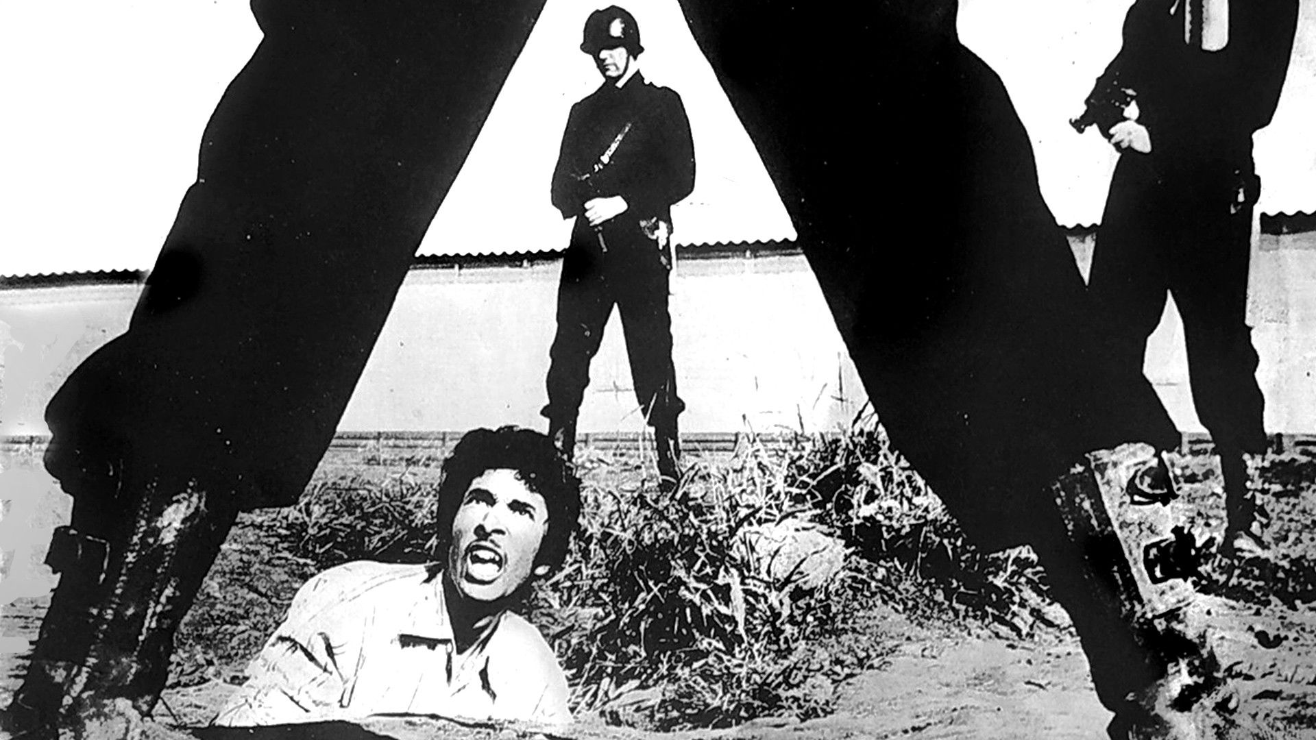 Backdrop for The Way