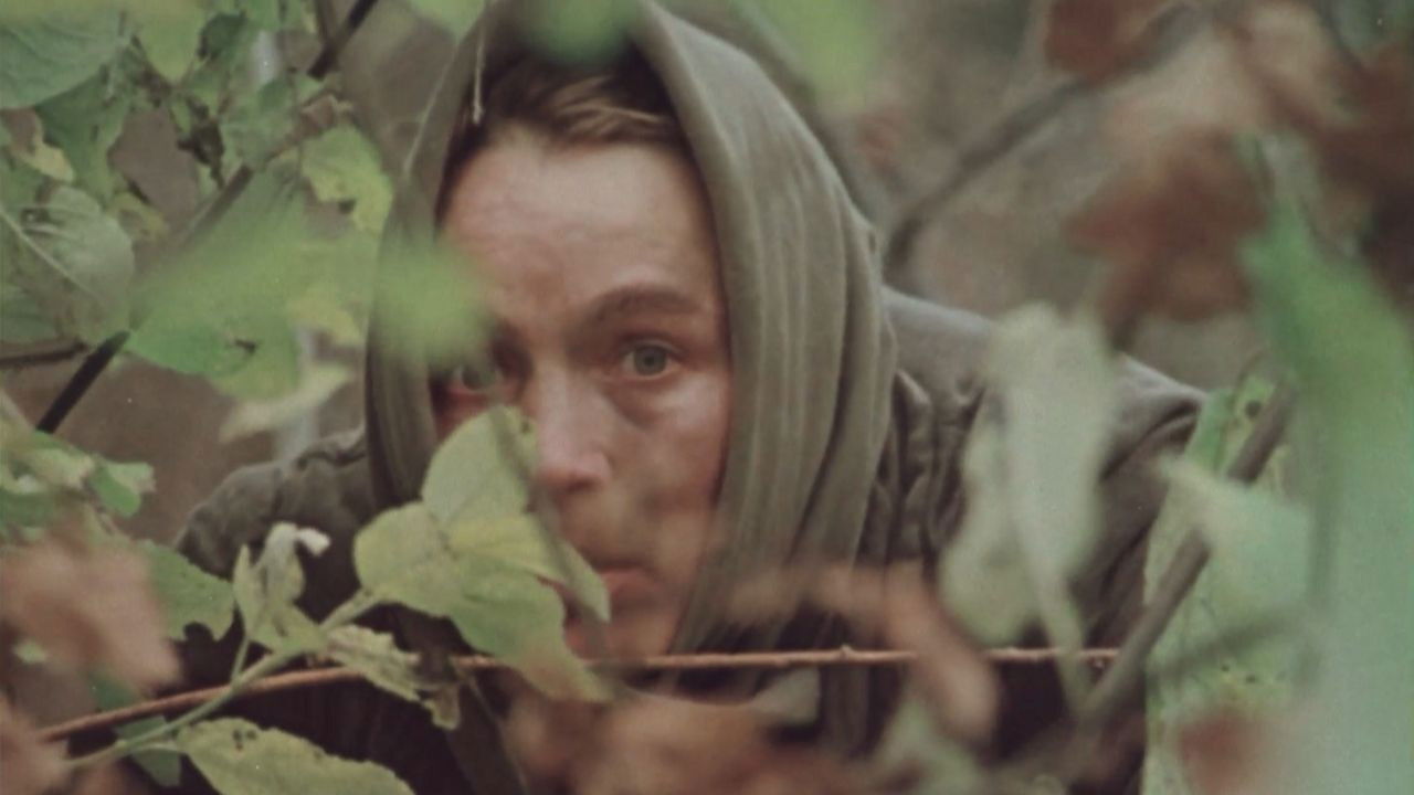 Backdrop for Sign of Disaster