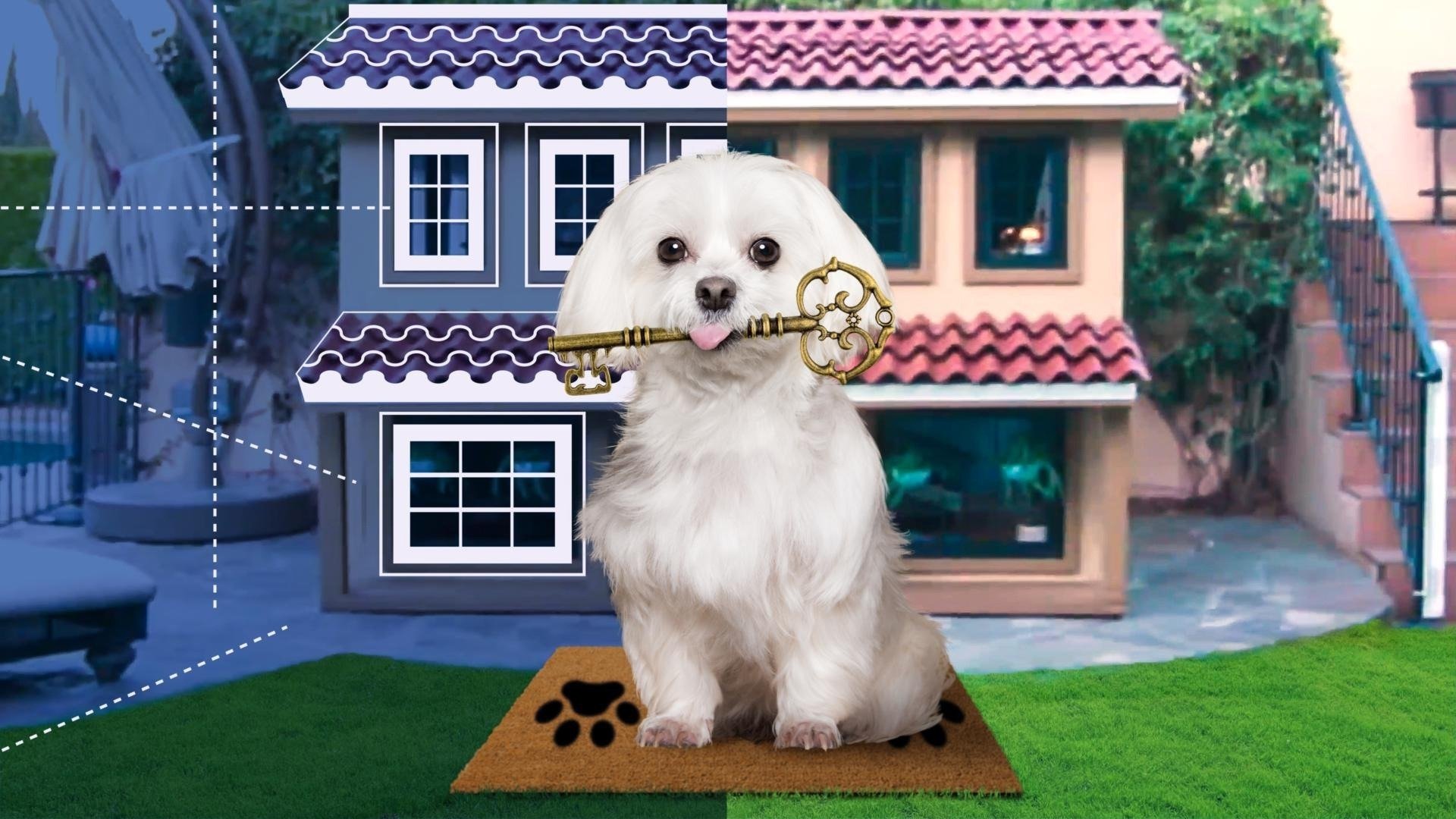 Backdrop for Barkitecture