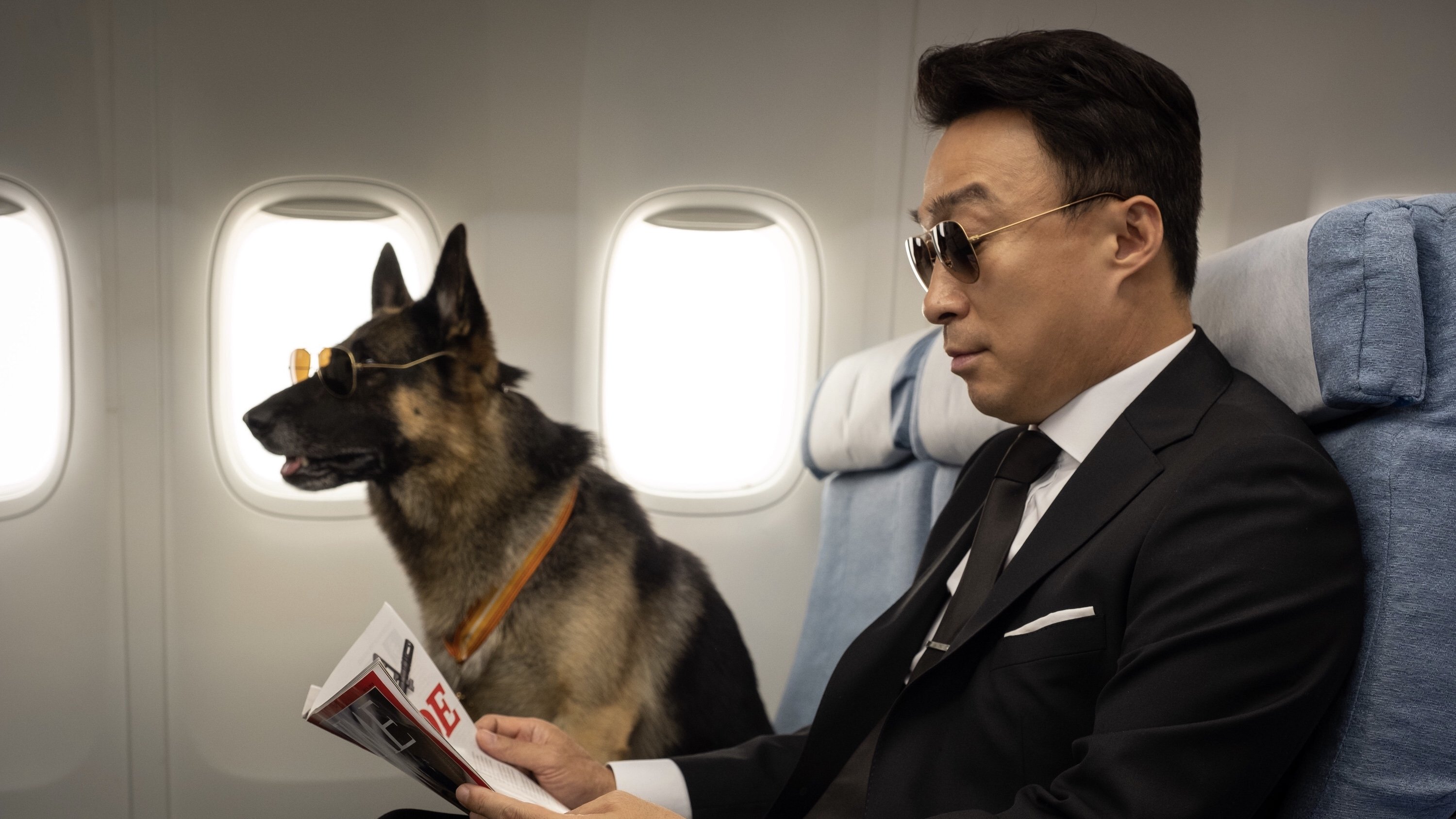 Backdrop for Mr. Zoo: The Missing VIP