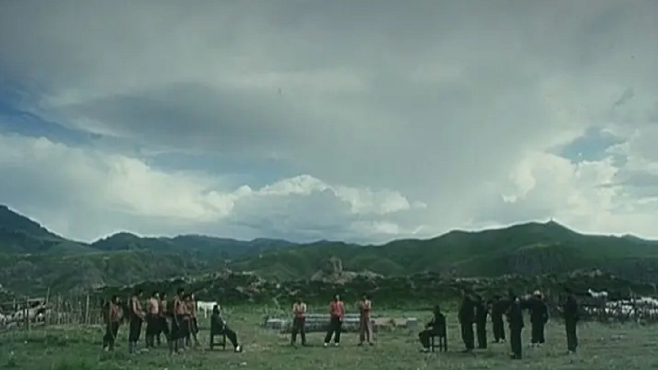 Backdrop for Sweet Grass