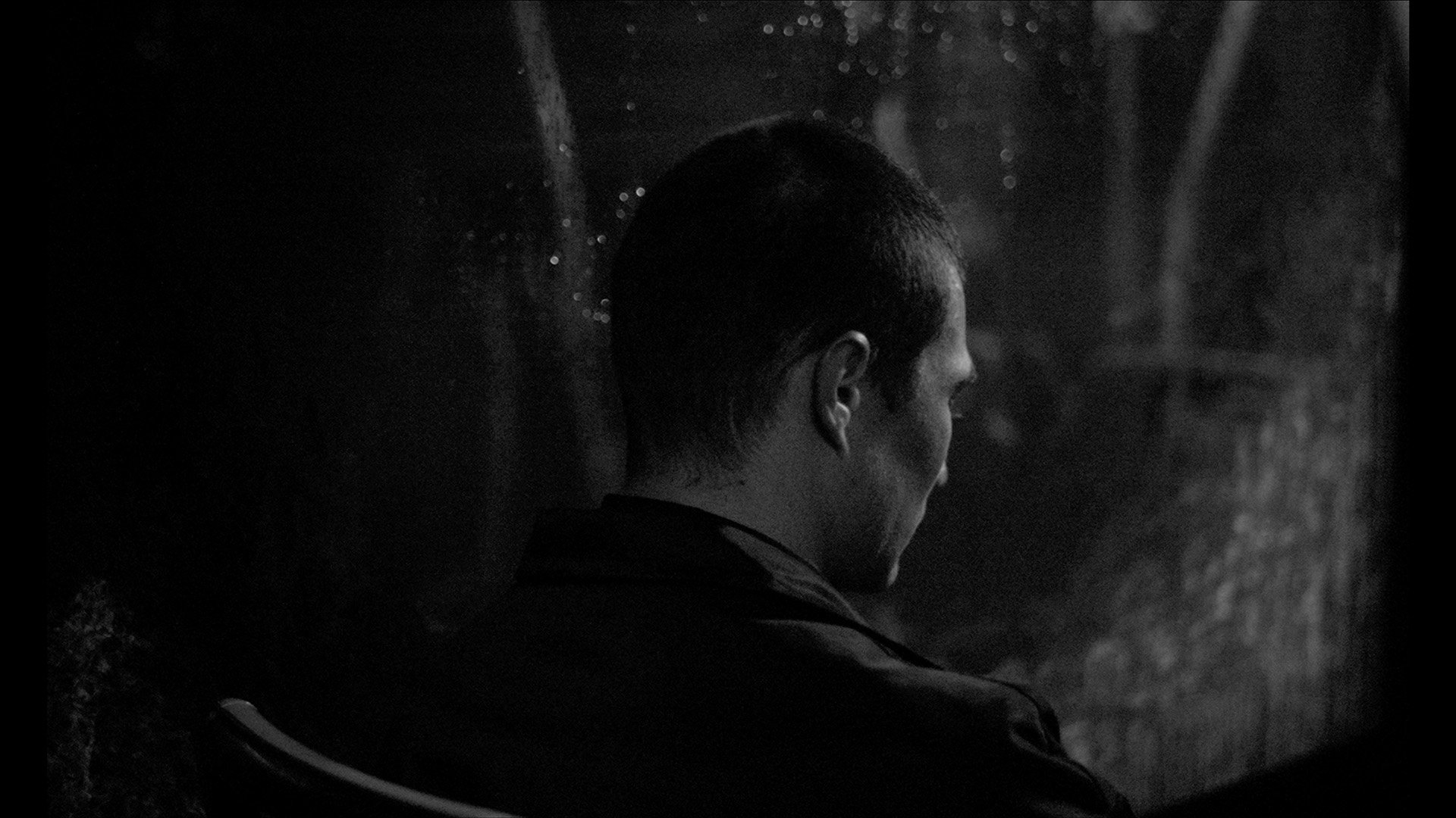 Backdrop for Silvester