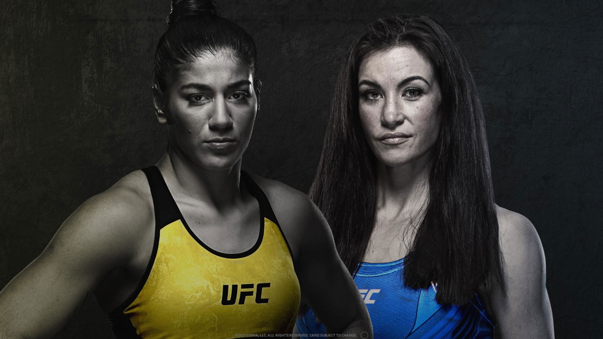 Backdrop for UFC Fight Night 198: Vieira vs. Tate