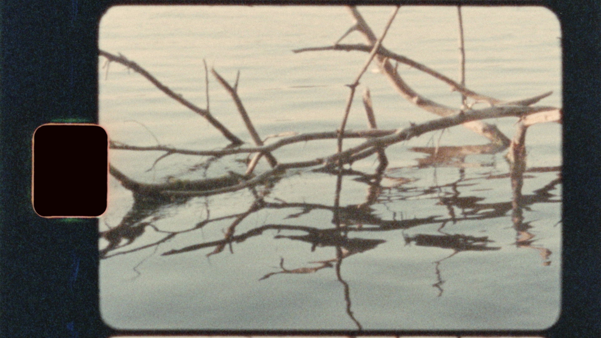 Backdrop for Among the Pines