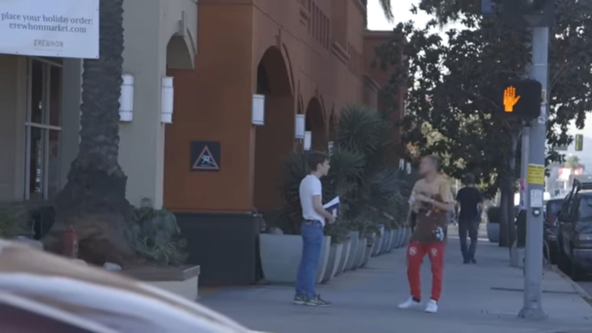 Backdrop for Indoor Garden